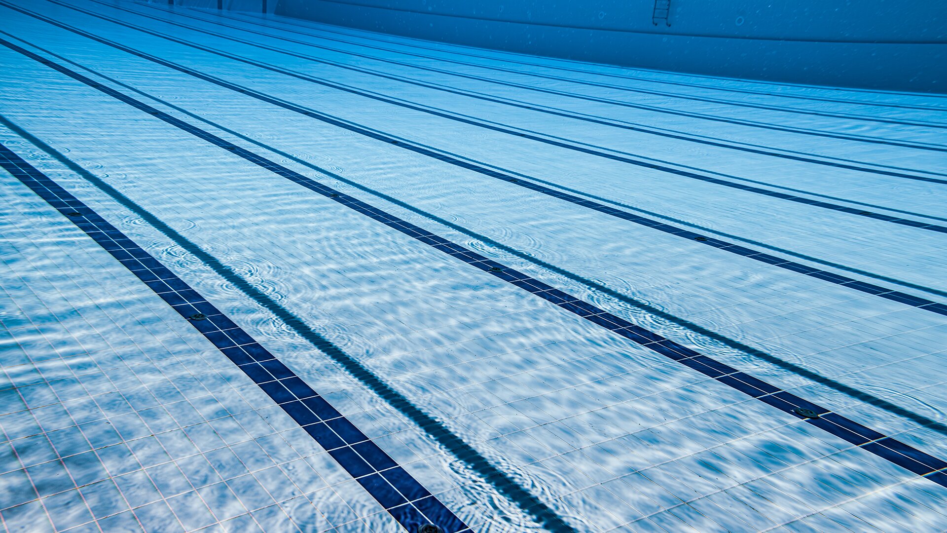 Underwater photo of an empty swimming pool with lane marking tiles